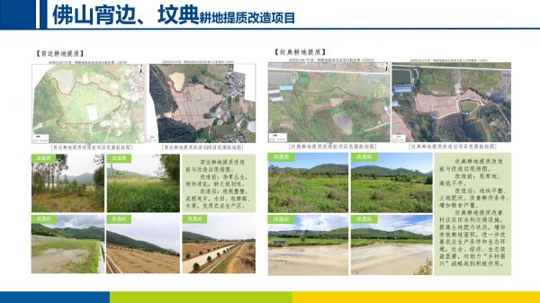 美麗鄉村項目20220906_03.jpg